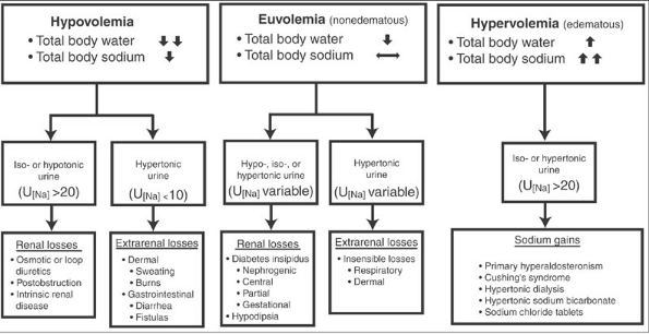 Figure From Hyponatremia And Hypernatremia In The Elderly Semantic Images